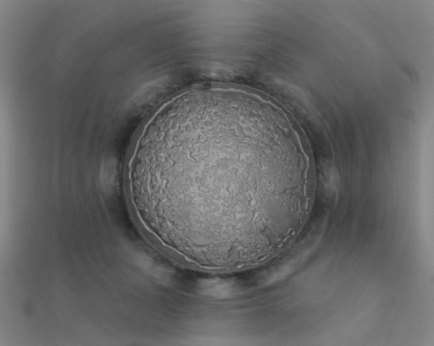 X0000112360511200908131458
