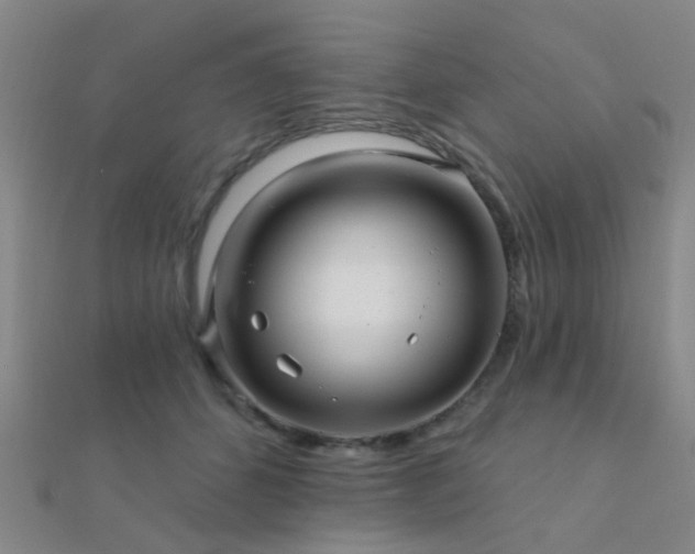 X0000112360512200908131458