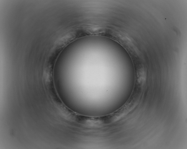 X0000112360515200908131458