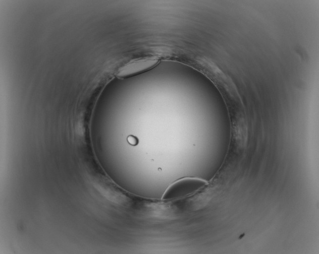 X0000112360516200908131458