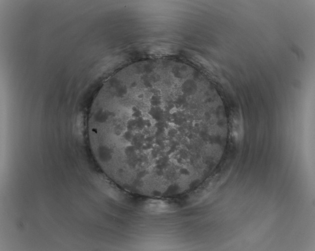 X0000112360519200908131458
