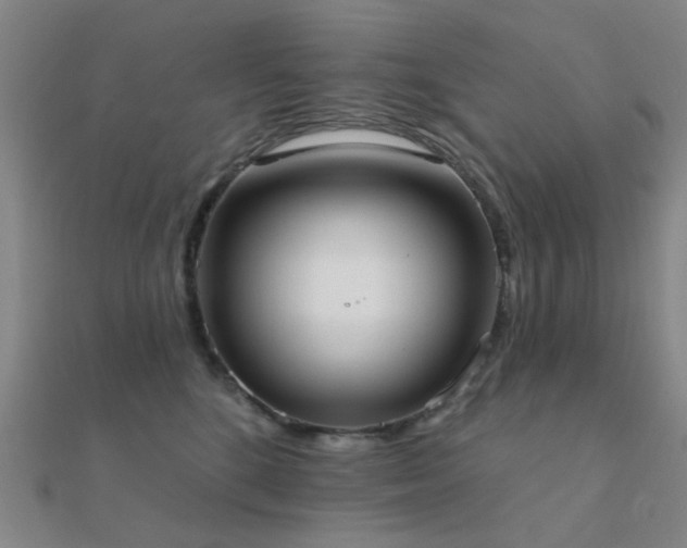 X0000112360520200908131458