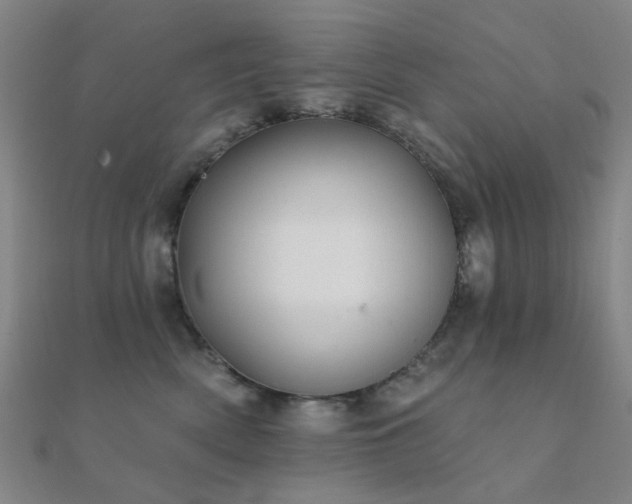 X0000112360522200908131458