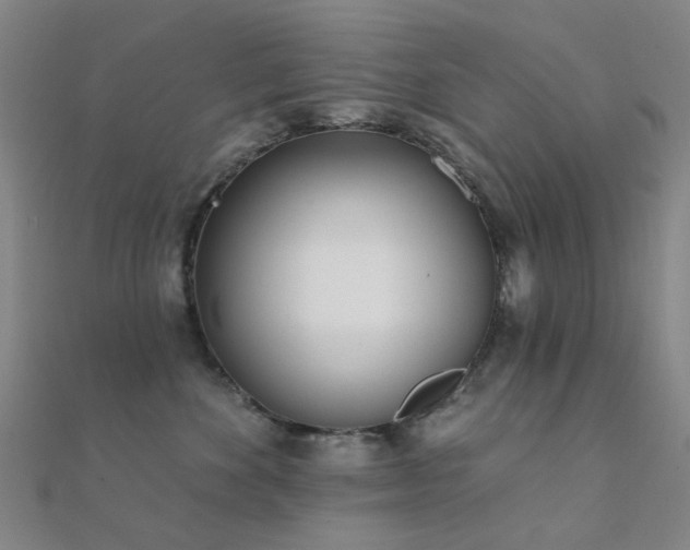 X0000112360524200908131458