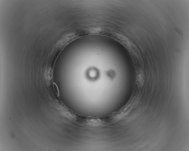 X0000112360525200908131458