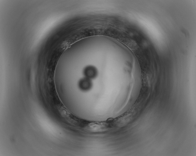 X0000112360526200908131458