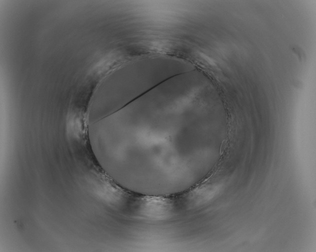 X0000112360528200908131458