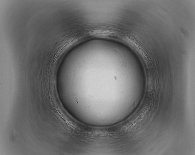 X0000112360529200908131458