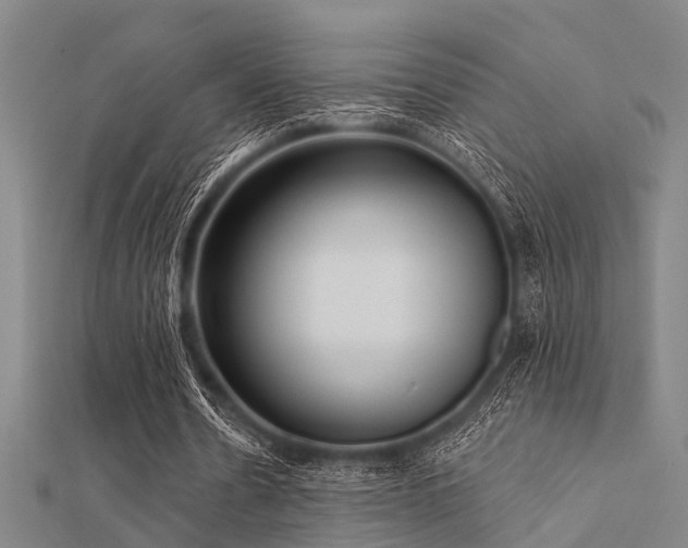 X0000112360530200908131458