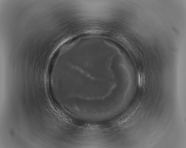 X0000112360531200908131458