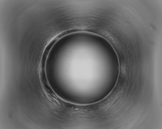 X0000112360532200908131458