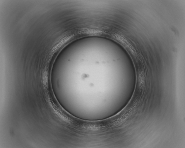 X0000112360533200908131458