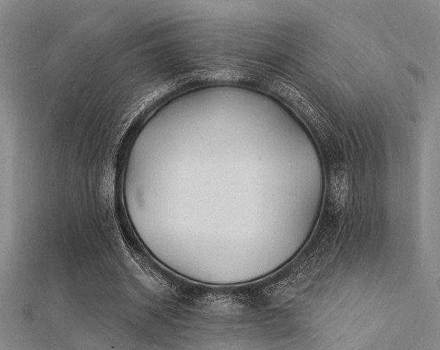 X0000112360534200908131458