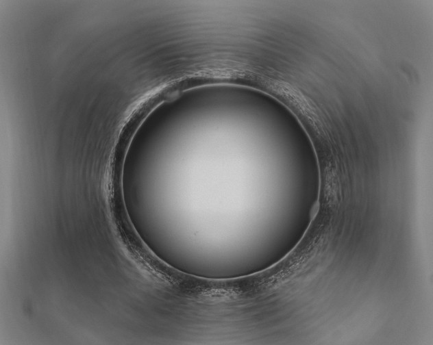 X0000112360536200908131458