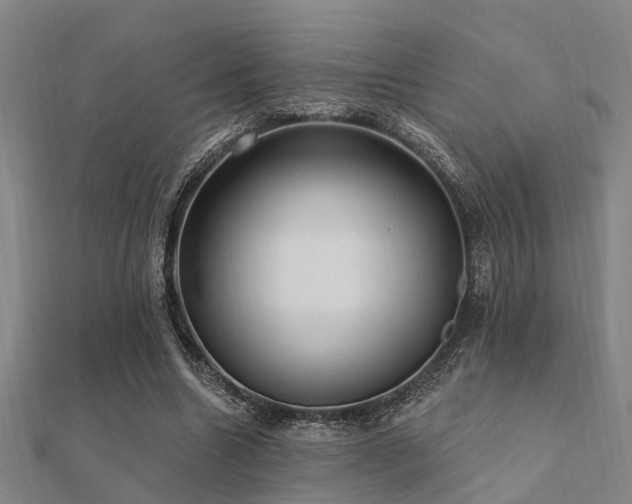 X0000112360538200908131458