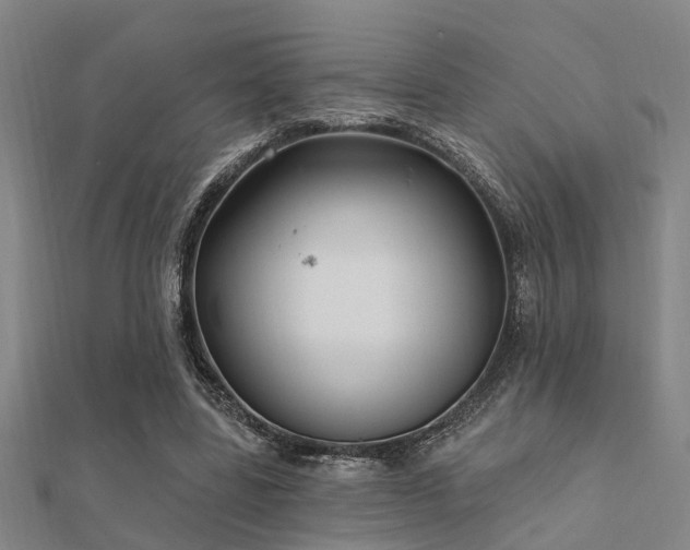 X0000112360539200908131458