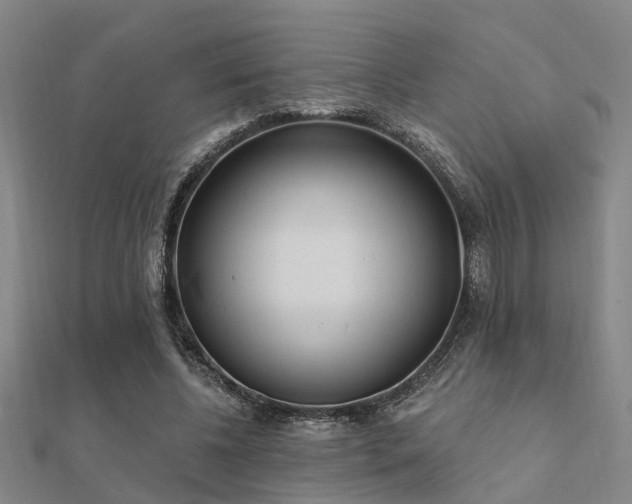 X0000112360540200908131458