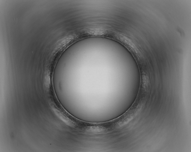 X0000112360541200908131458