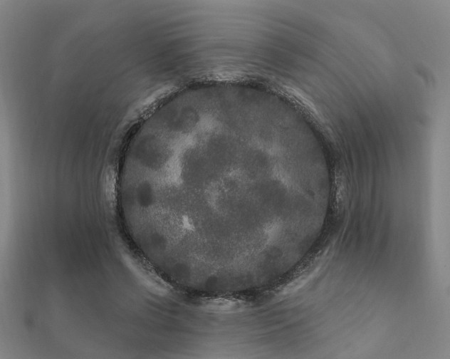 X0000112360542200908131458