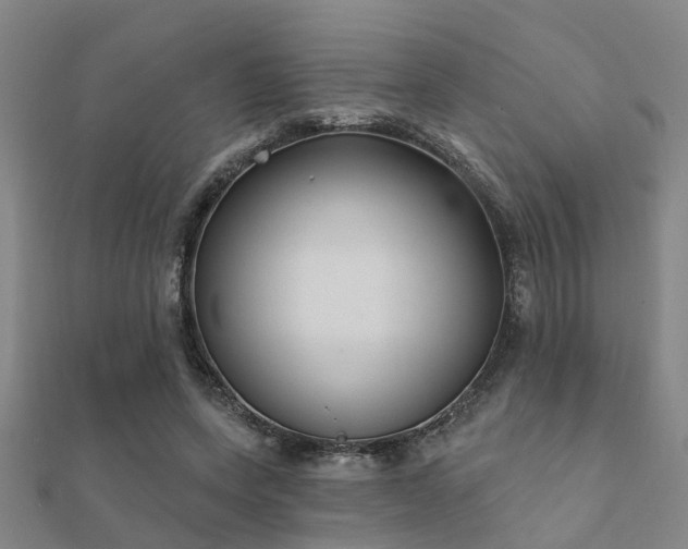 X0000112360543200908131458