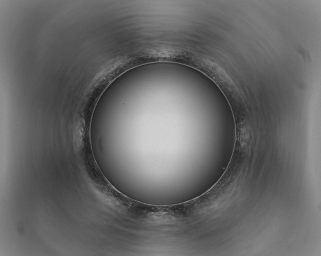 X0000112360544200908131458