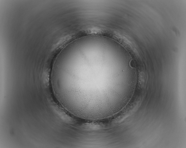 X0000112360545200908131458
