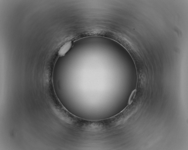 X0000112360546200908131458