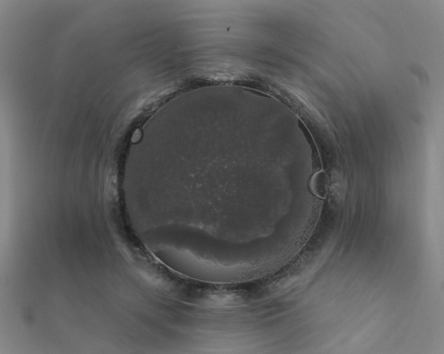 X0000112360547200908131458