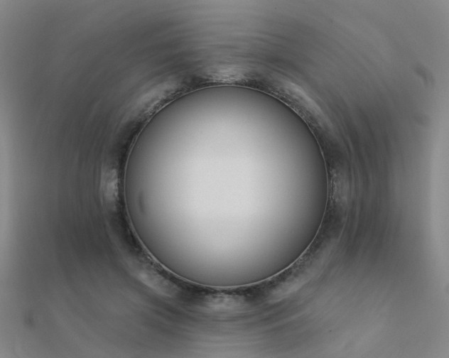 X0000112360549200908131458