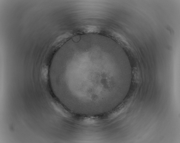 X0000112360550200908131458