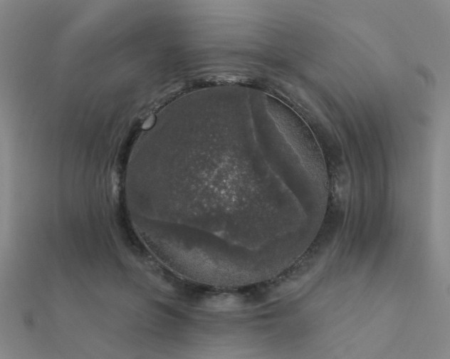 X0000112360551200908131458