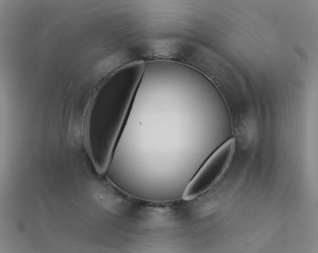 X0000112360552200908131458