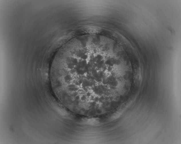 X0000112360553200908131458