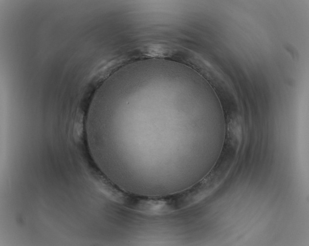 X0000112360554200908131458