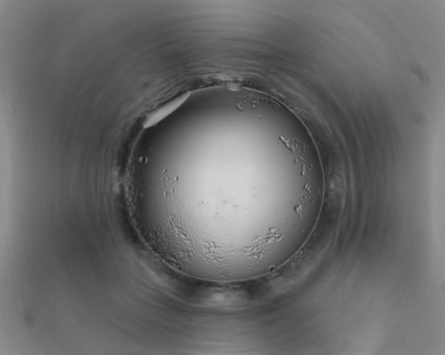 X0000112360555200908131458