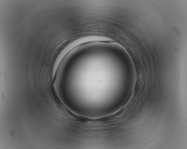 X0000112360556200908131458