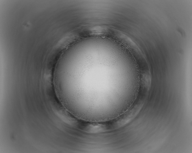 X0000112360557200908131458