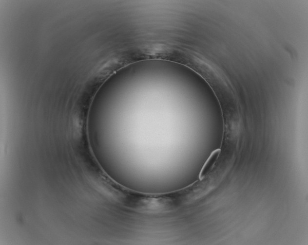 X0000112360558200908131458