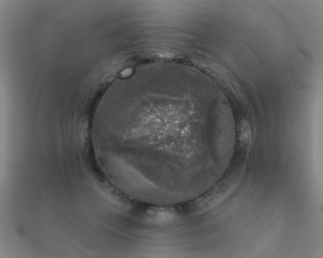 X0000112360559200908131458