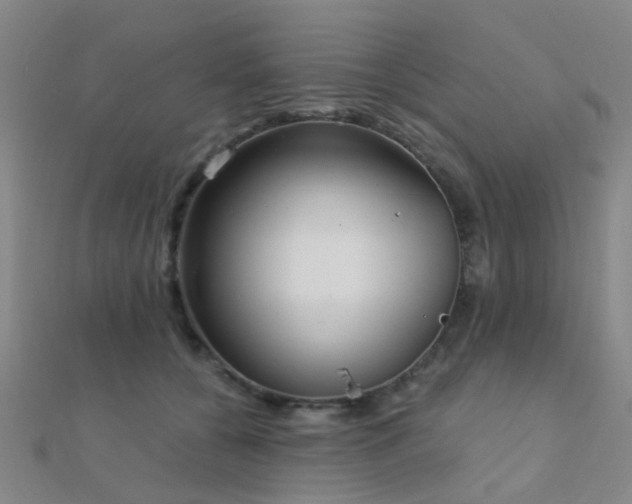 X0000112360560200908131458