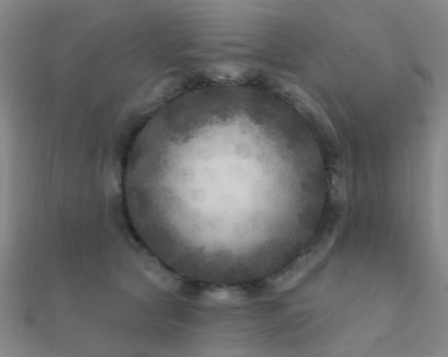 X0000112360561200908131458