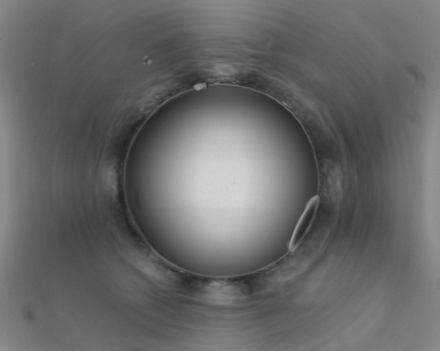 X0000112360562200908131458