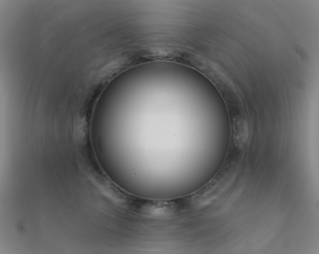 X0000112360563200908131458