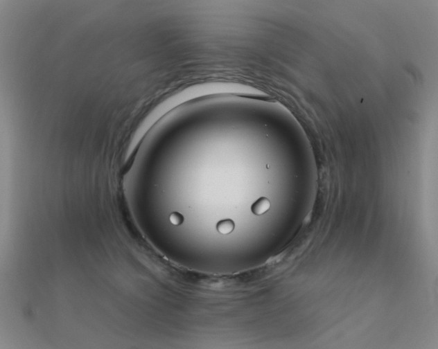 X0000112360564200908131458