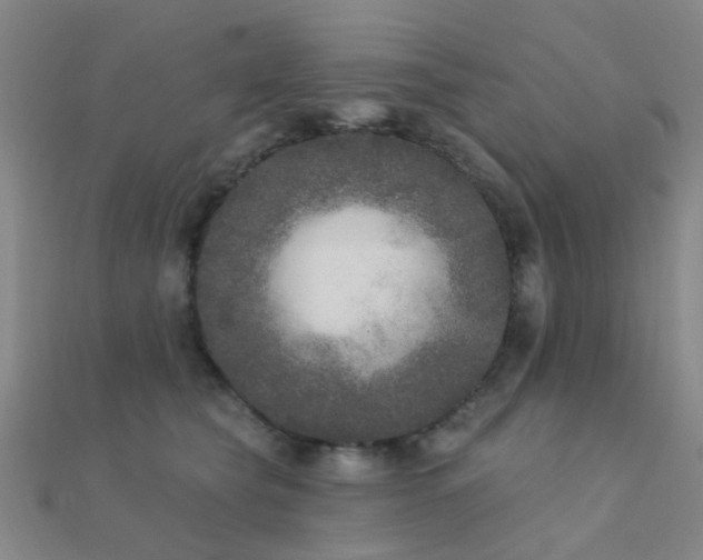 X0000112360565200908131458