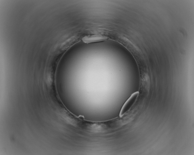 X0000112360566200908131458
