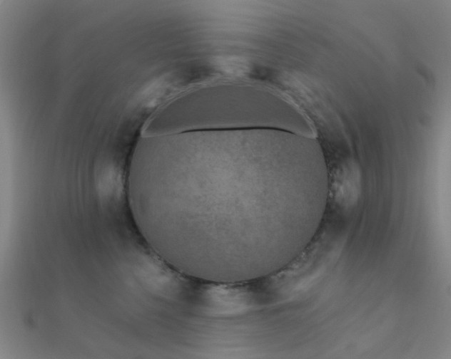X0000112360568200908131458