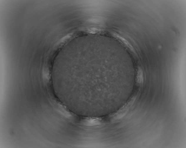 X0000112360569200908131458