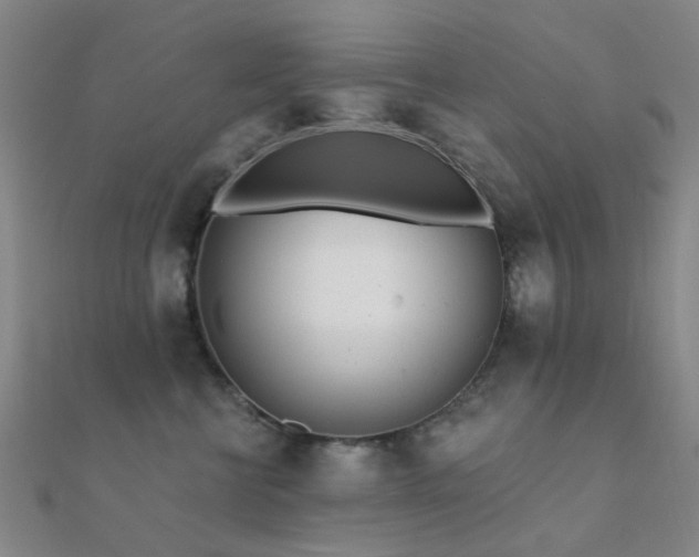 X0000112360570200908131458