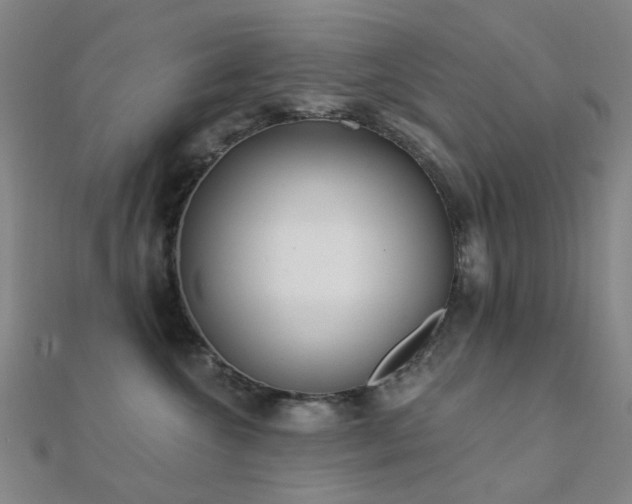 X0000112360572200908131458